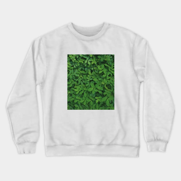 Green plant photo - minimalist art - nature photography Crewneck Sweatshirt by ArtByMe